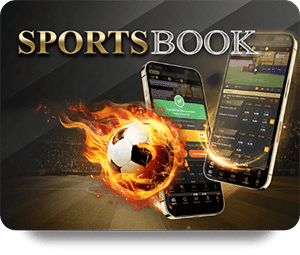 Bum Club Live Dealer Hot Game Review and Strategies